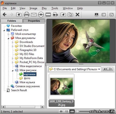 Portable Firegraphic 10.0.0.1010
